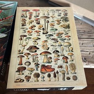 Mushroom artist puzzle, thousand piece 11 x 15